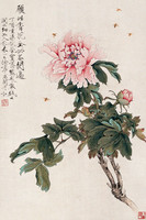 The Peony 

